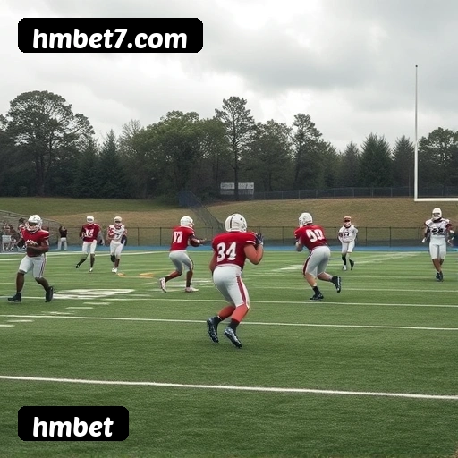 hmbet: O Seu Cassino Online Seguro e Divertido